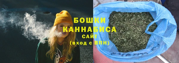 крисы Богородск