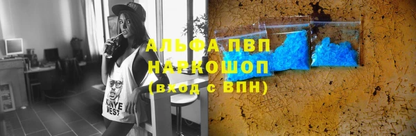 молекула духа Богородицк